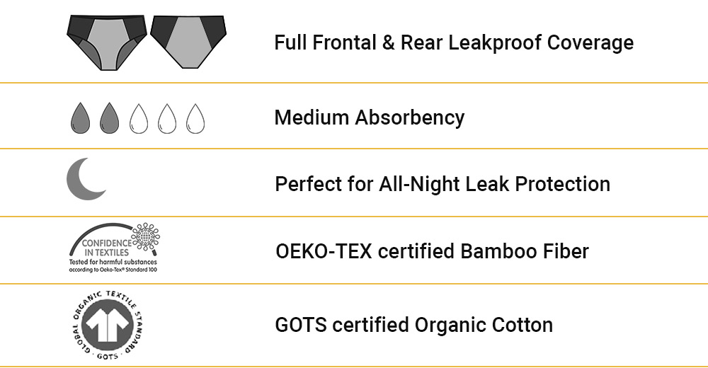 HipHugger Period Panty